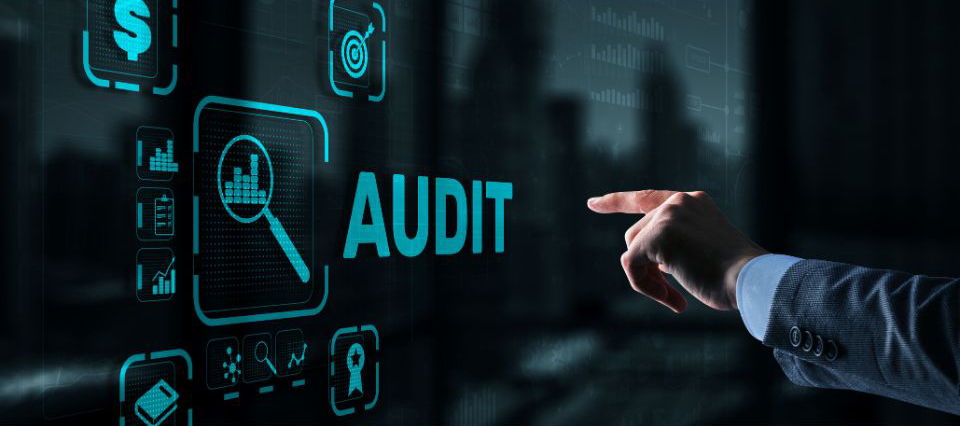 Why should you go for SEO audits?
